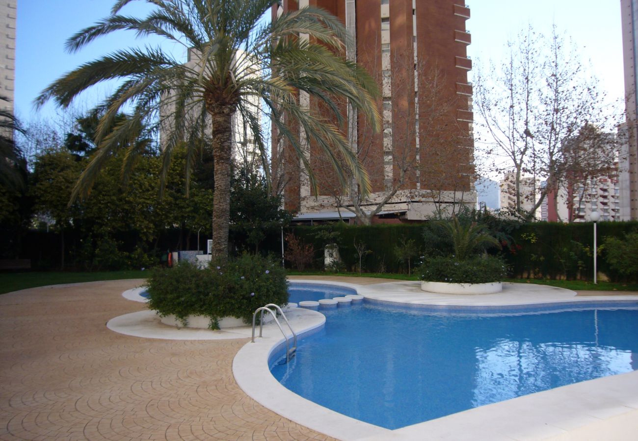 Apartamento en Benidorm - PARQUE EUROPA 13D2