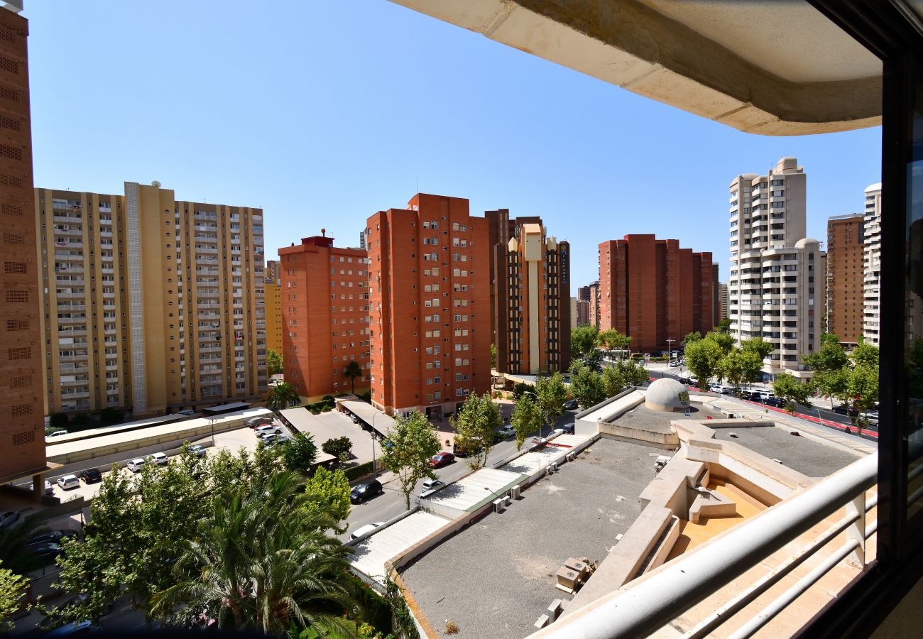 Apartamento en Benidorm - PARQUE EUROPA 13D2