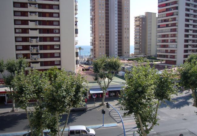 Apartamento en Benidorm - COBLANCA 3 36