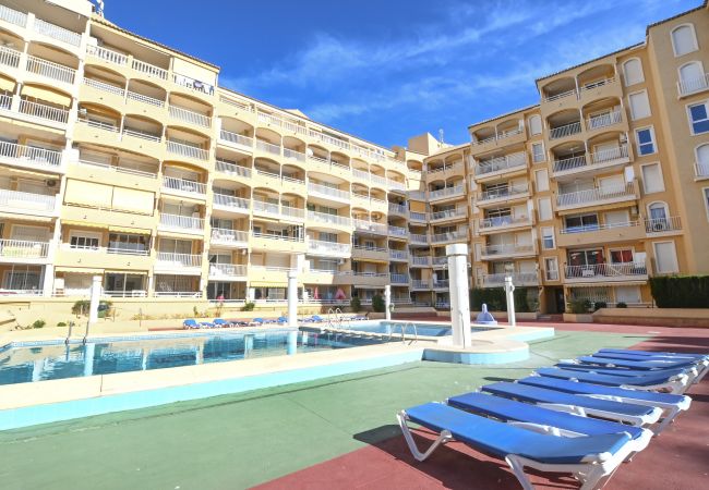 Apartamento en Calpe - A08 APOLO 7 ESC 5 1º 3