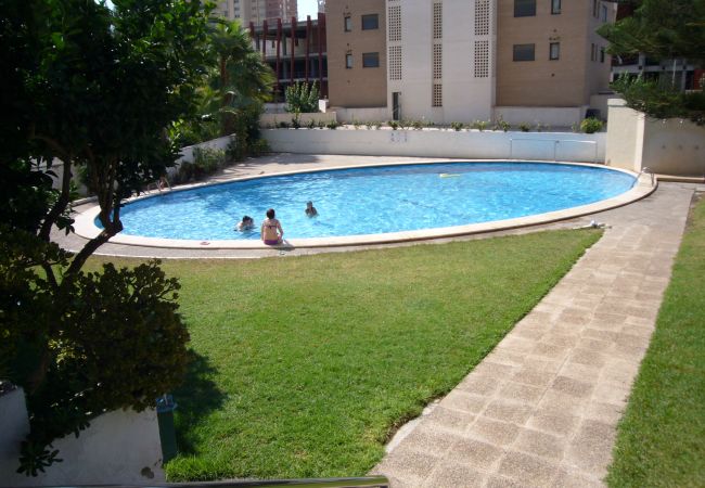 Apartamento en Benidorm - LA PINTA 11B