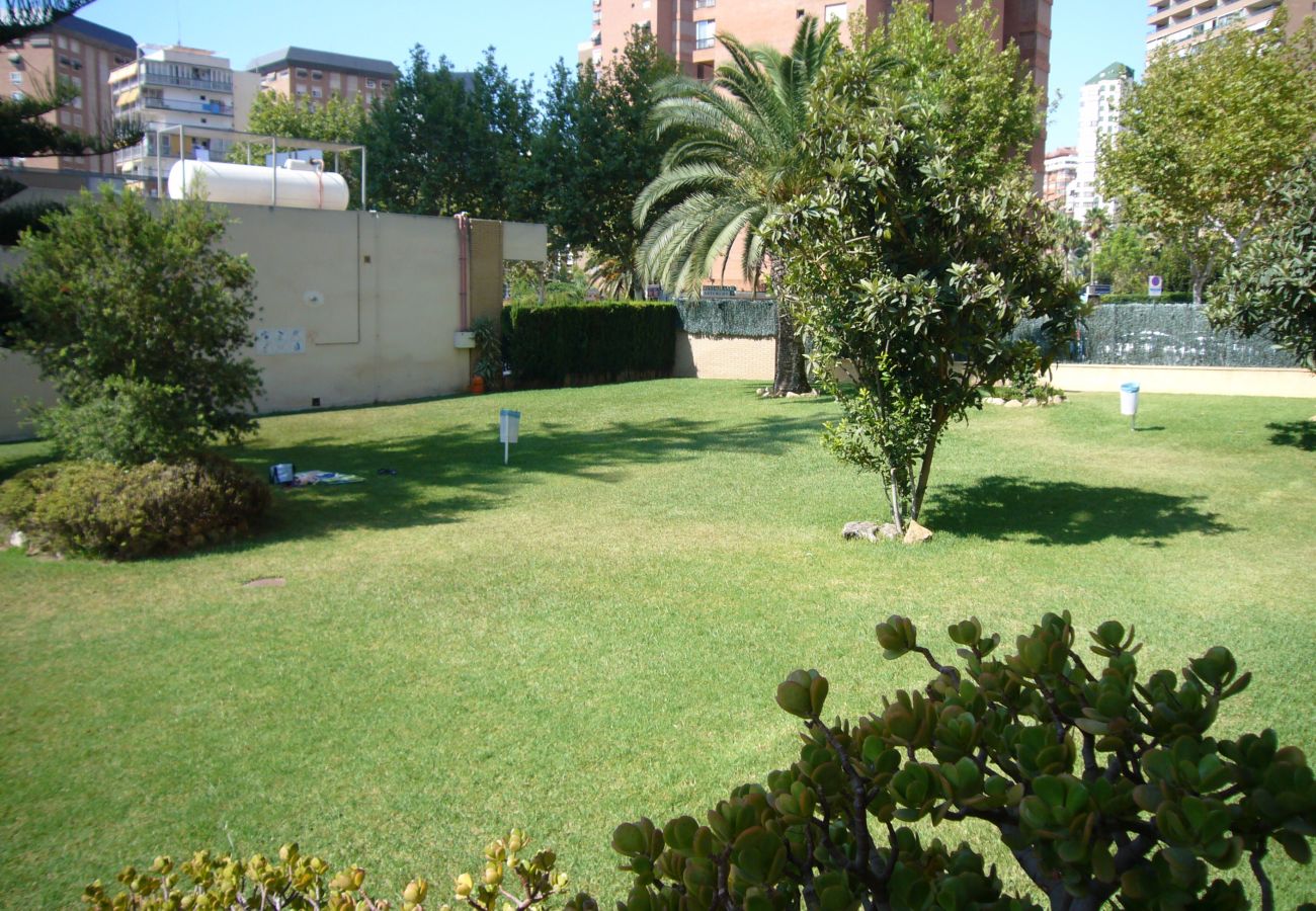 Apartamento en Benidorm - LA PINTA 15D