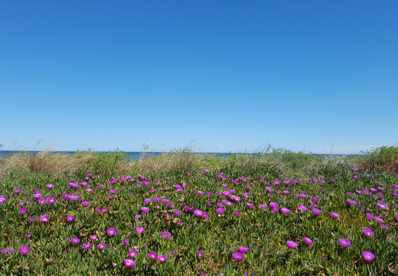 Playa en abril