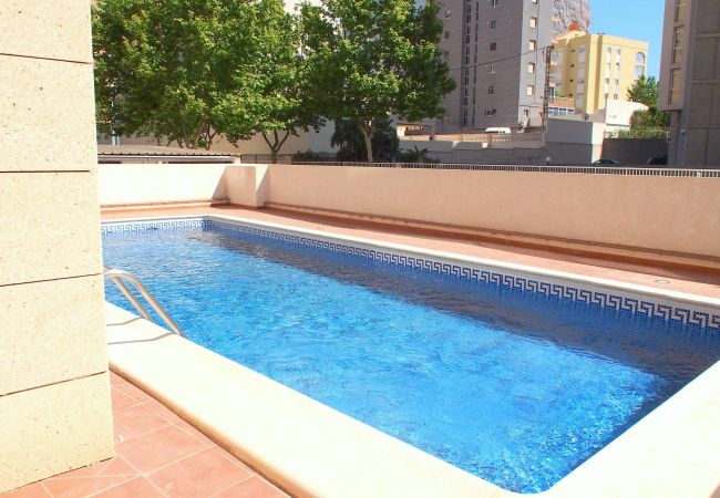 Fuera de los apartamentos hay una terraza donde se encuentra la piscina. Hay duchas y algunas hamacas para usar.