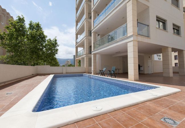 Fuera de los apartamentos hay una terraza donde se encuentra la piscina. Hay duchas y algunas hamacas para usar.