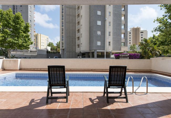 Fuera de los apartamentos hay una terraza donde se encuentra la piscina. Hay duchas y algunas hamacas para usar.