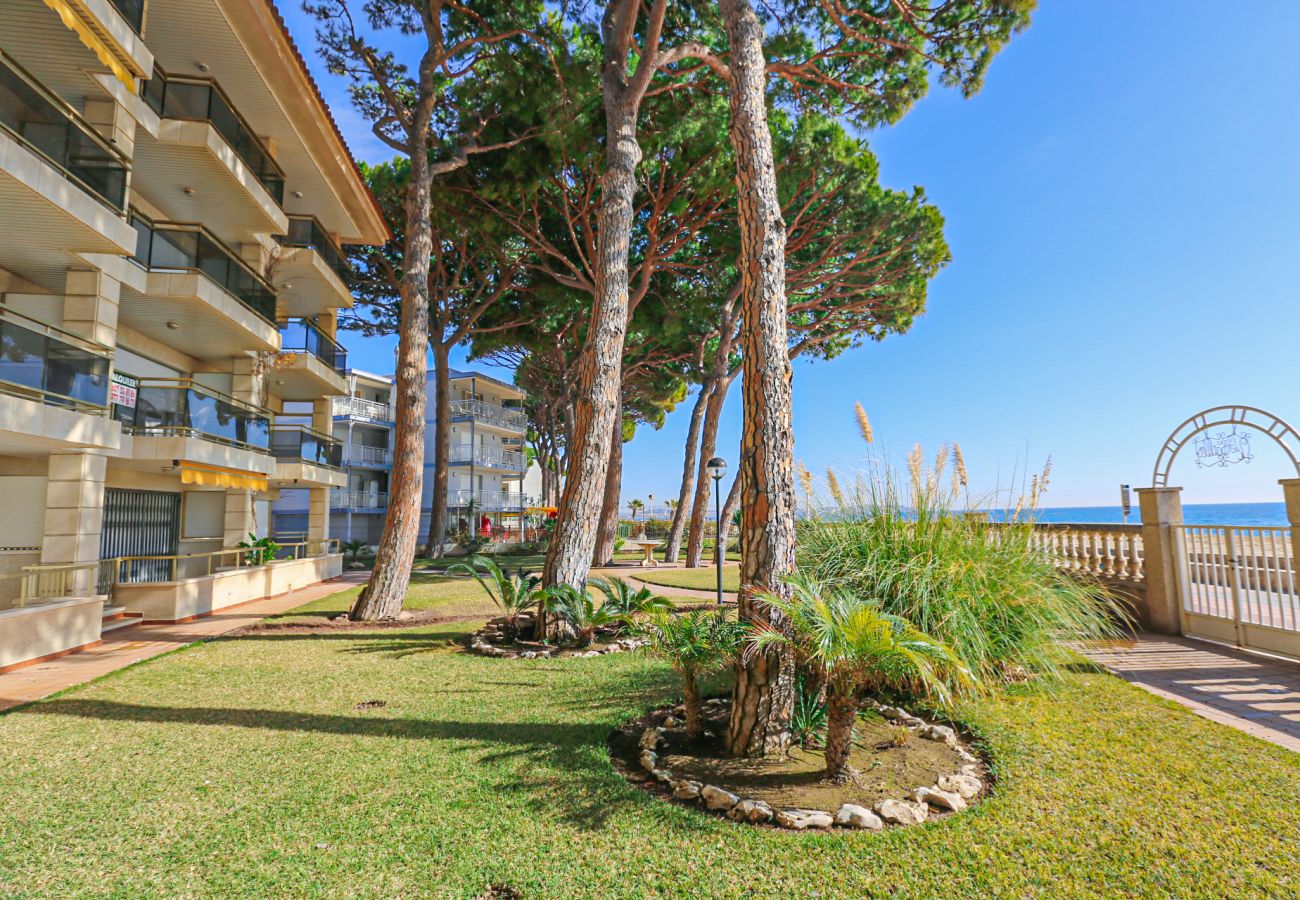 Apartamento en Cambrils - VERSALLES  A 3er 1ra