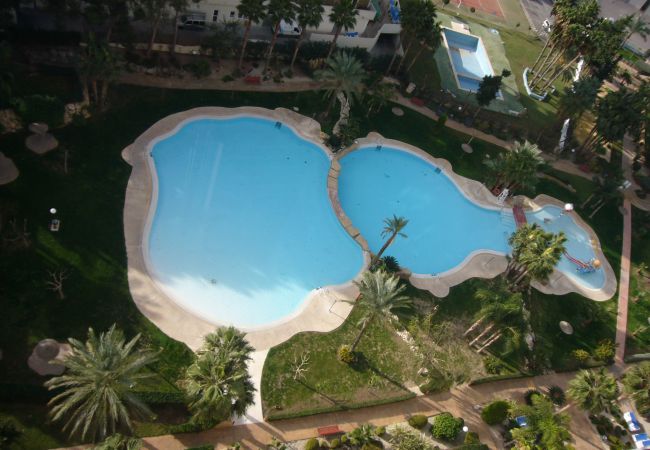 Apartamento en Benidorm - GEMELOS 22 13C3