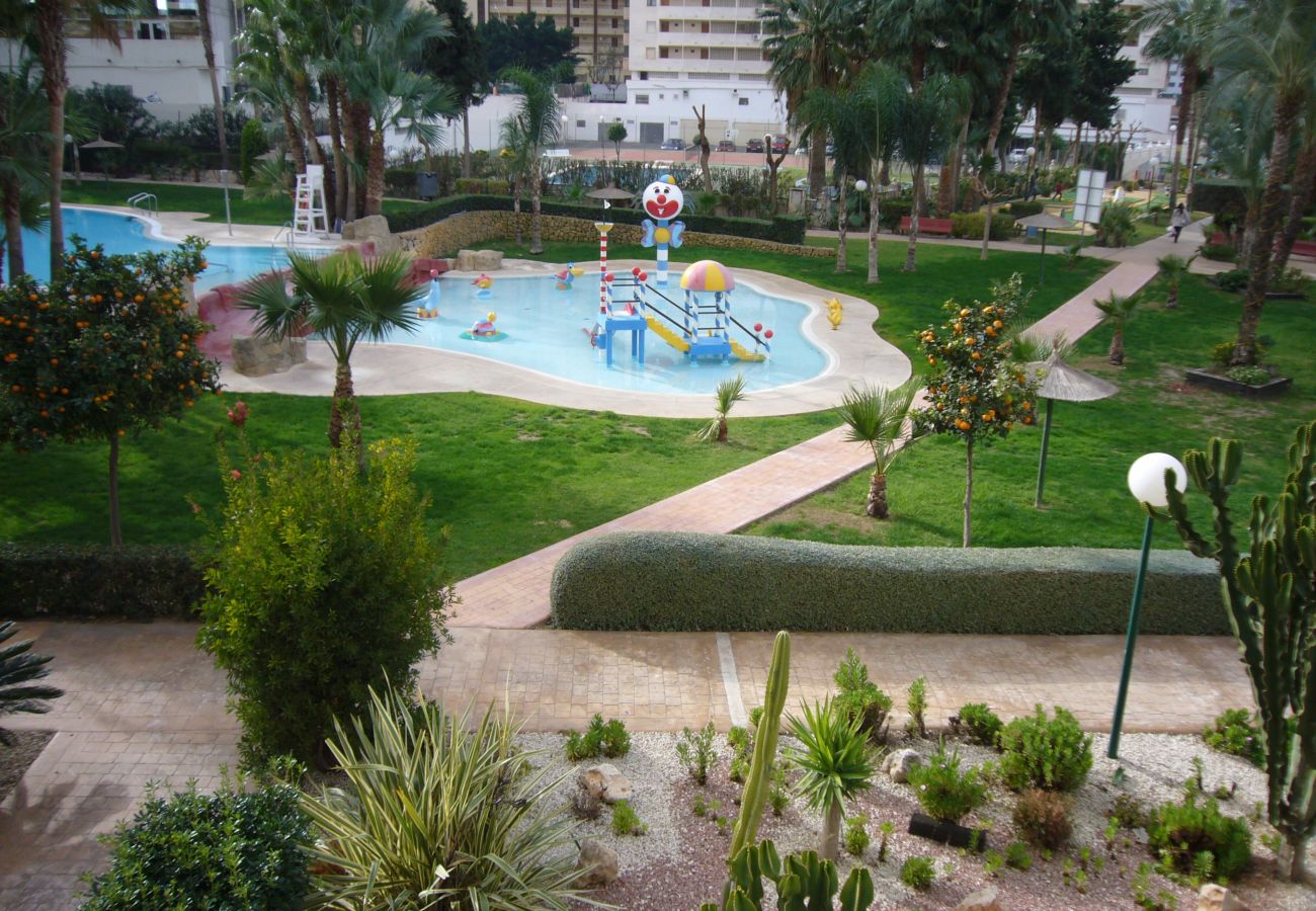 Apartamento en Benidorm - GEMELOS 22 15C3