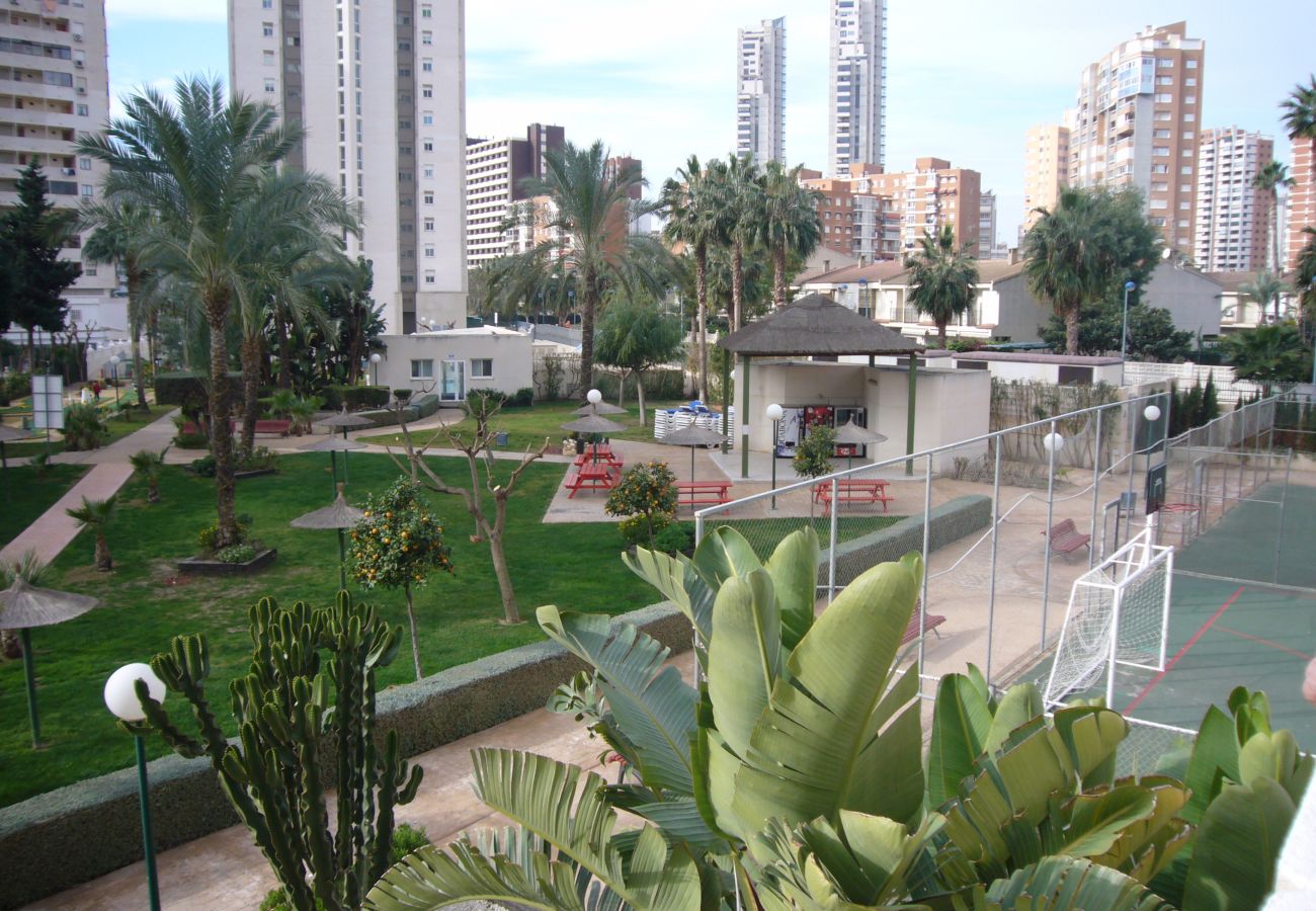 Apartamento en Benidorm - GEMELOS 22 15C3