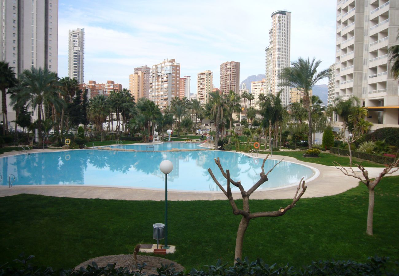 Apartamento en Benidorm - GEMELOS 22 21B3