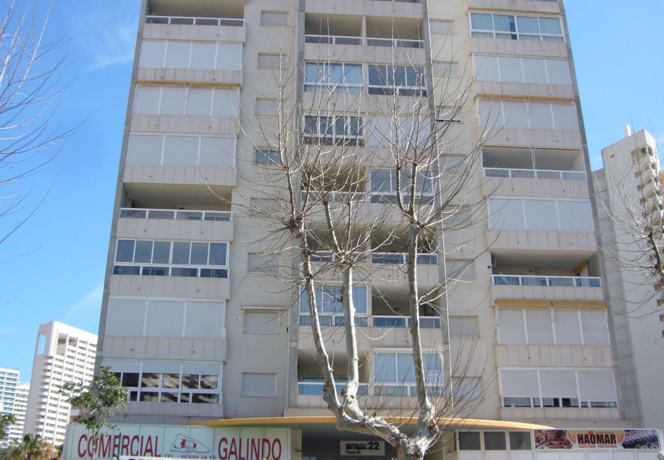 Apartamento en Benidorm - GEMELOS 22 21B3
