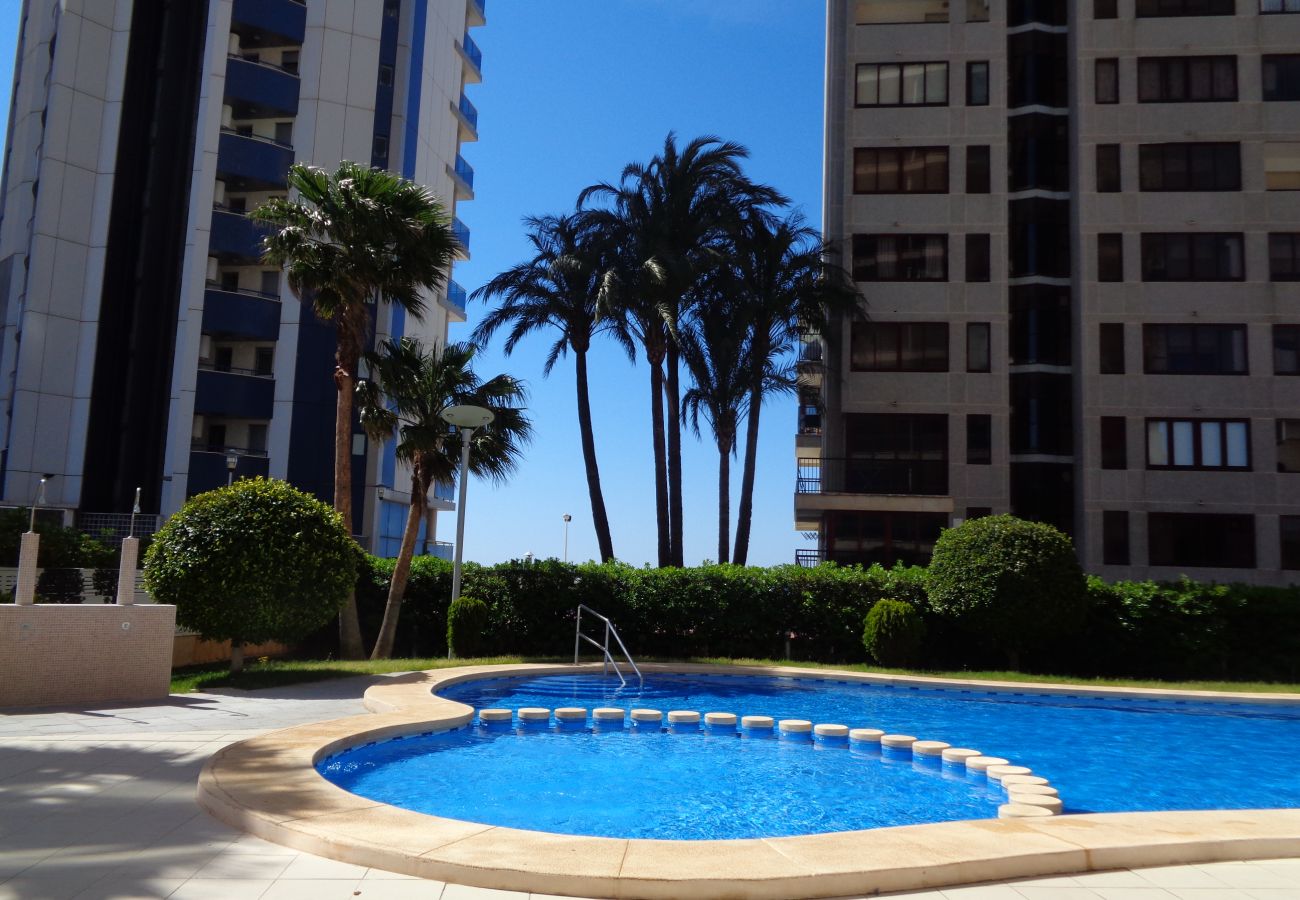 Apartamento en Calpe - A66 BAHIA DEL SOL 13A