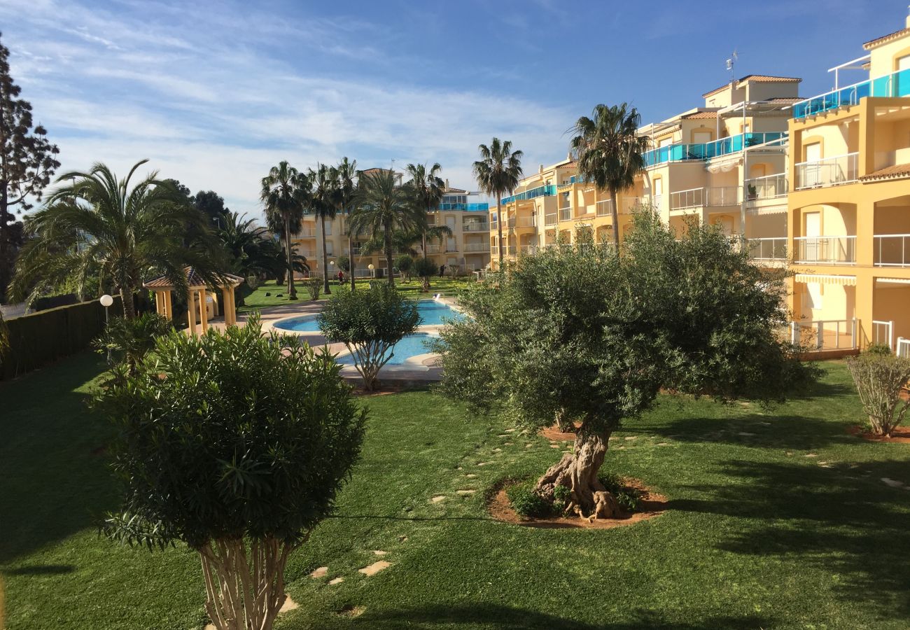 Apartamento en Denia - LA RIVIERA 1-7