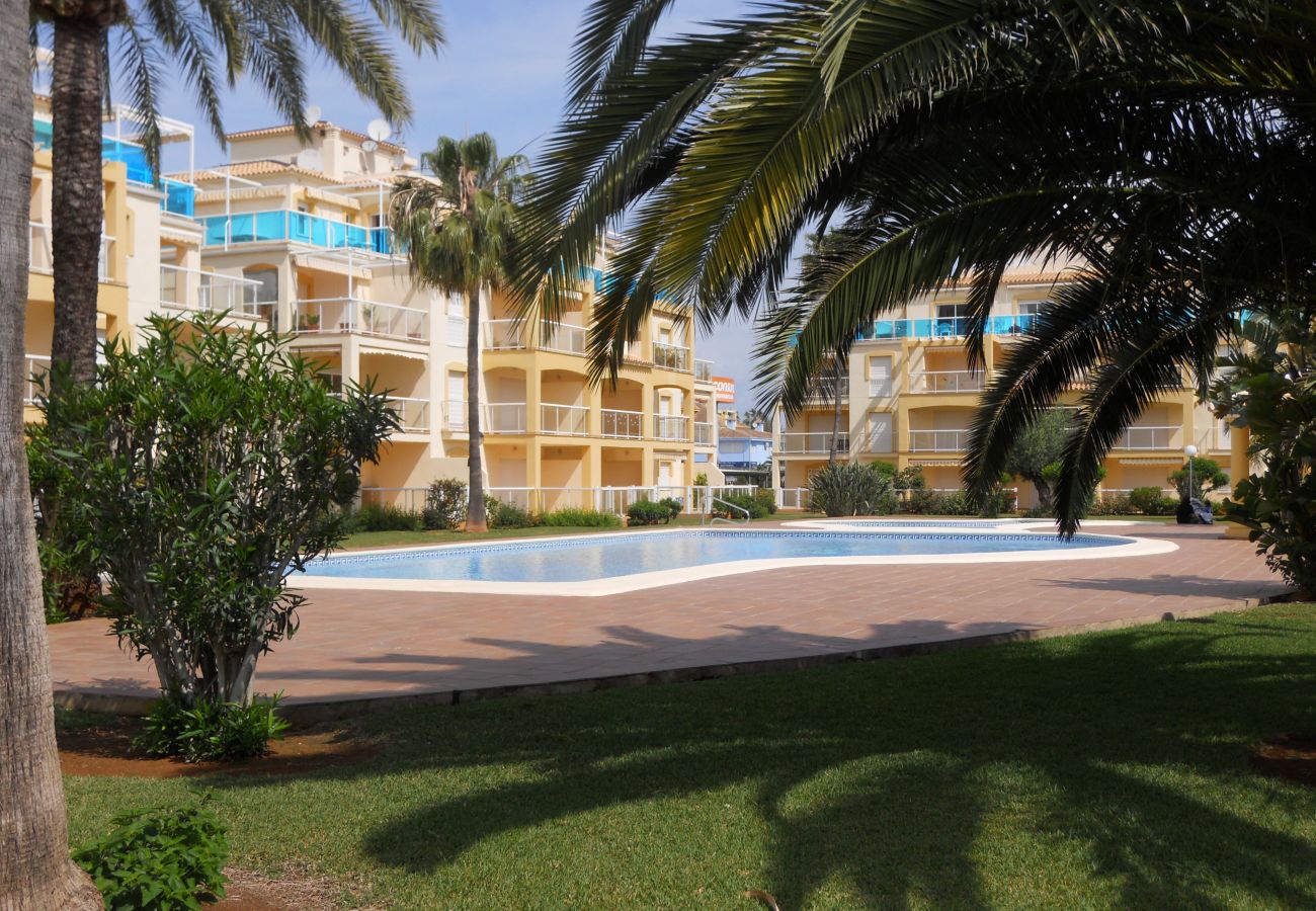 Apartamento en Denia - LA RIVIERA 1-7