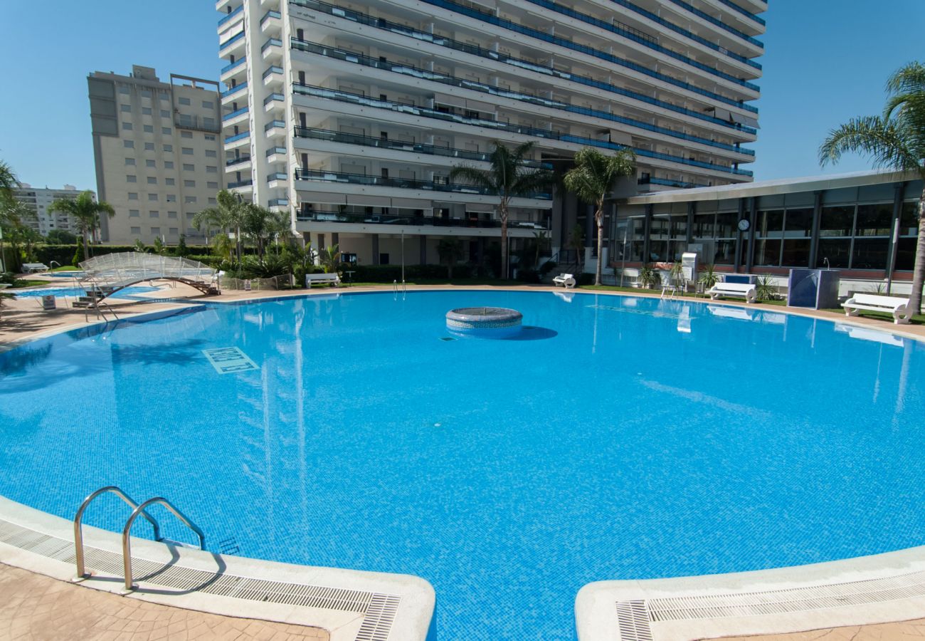 Apartamento en Playa de Gandía - 62. AG EDEN RESORT 9/2/1