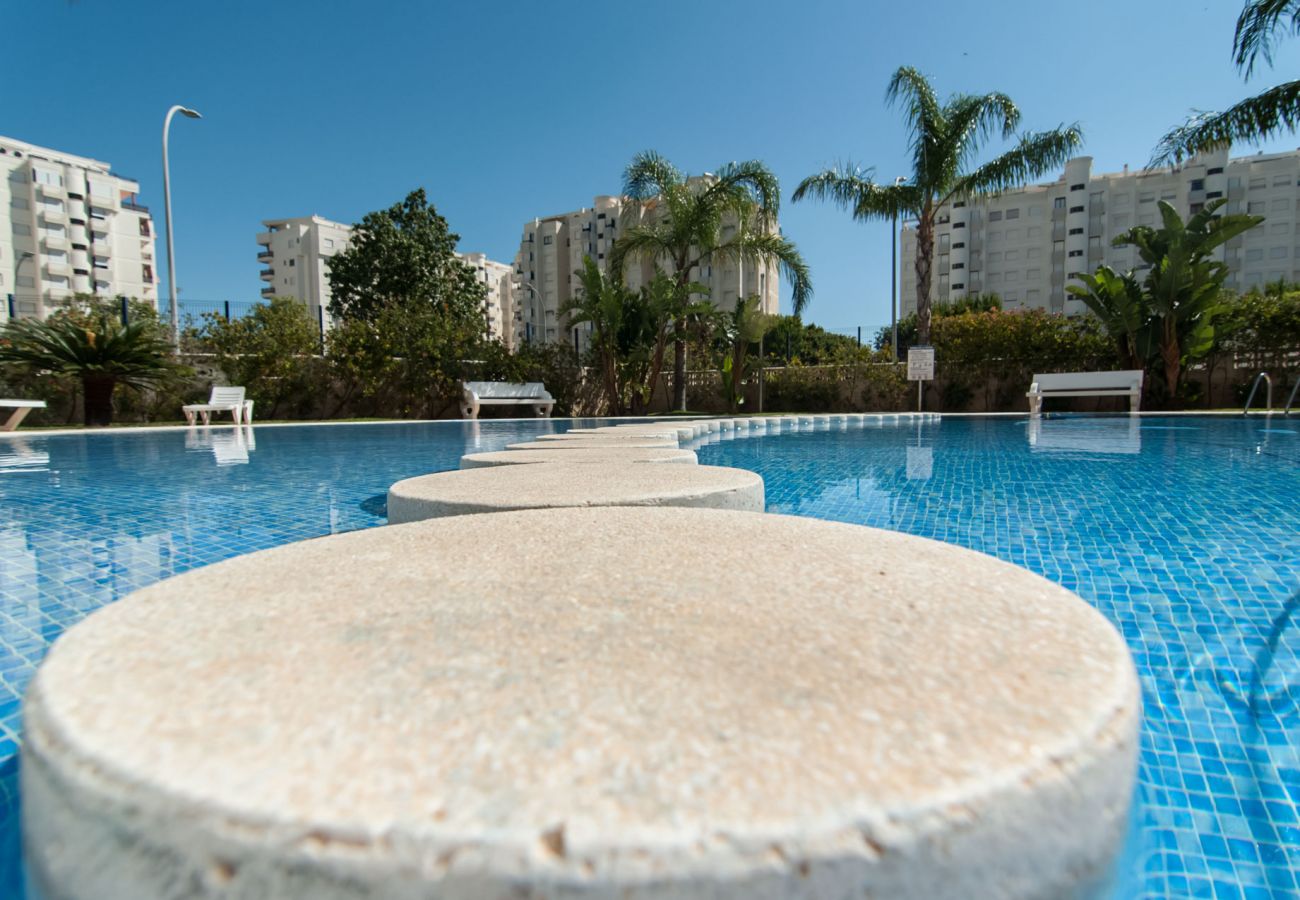 Apartamento en Playa de Gandía - 66. AG EDEN RESORT 11/3/1