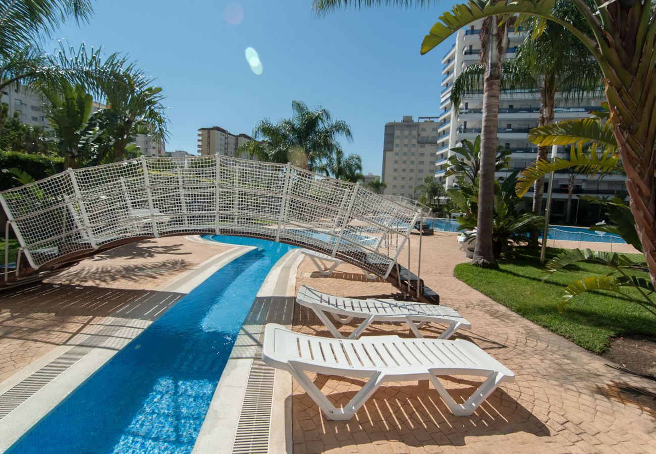 Apartamento en Playa de Gandía - 66. AG EDEN RESORT 11/3/1