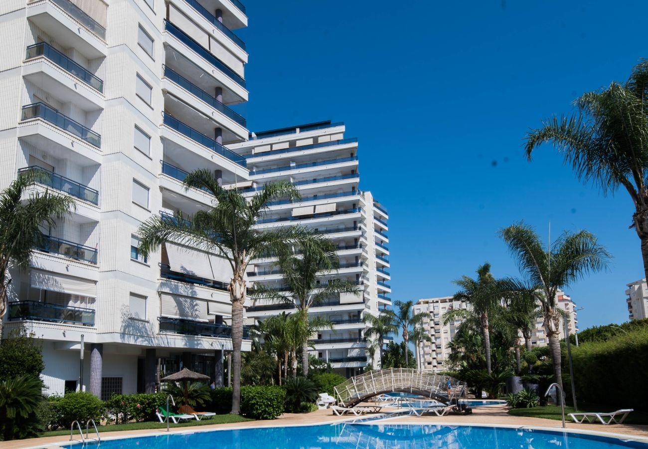 Apartamento en Playa de Gandía - 91. AG EDEN RESORT 11/3/4