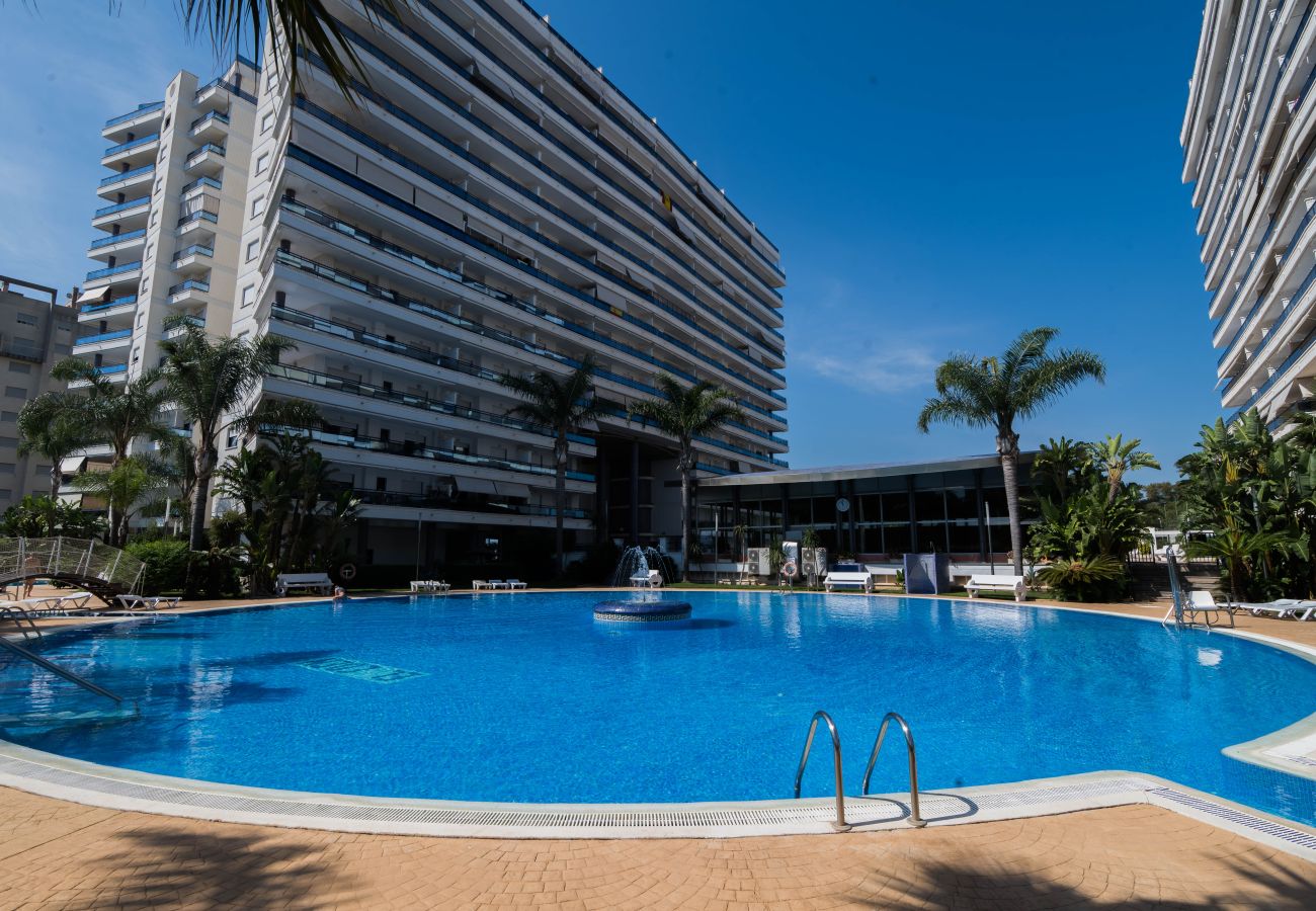 Apartamento en Playa de Gandía - 91. AG EDEN RESORT 11/3/4