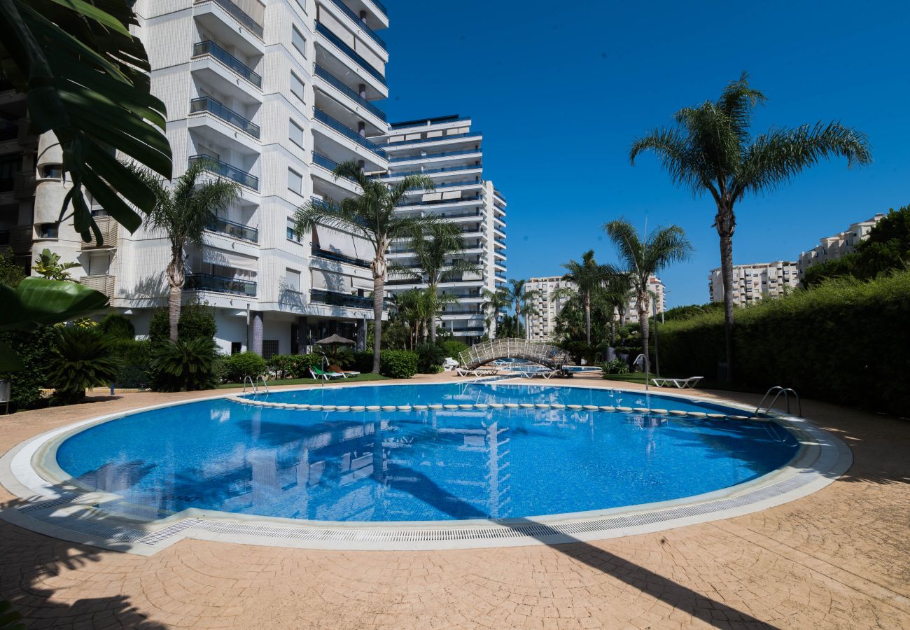 Apartamento en Playa de Gandía - 91. AG EDEN RESORT 11/3/4