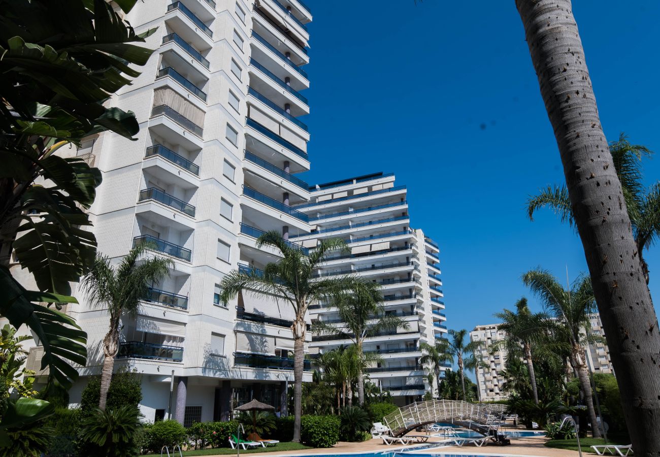 Apartamento en Playa de Gandía - 91. AG EDEN RESORT 11/3/4