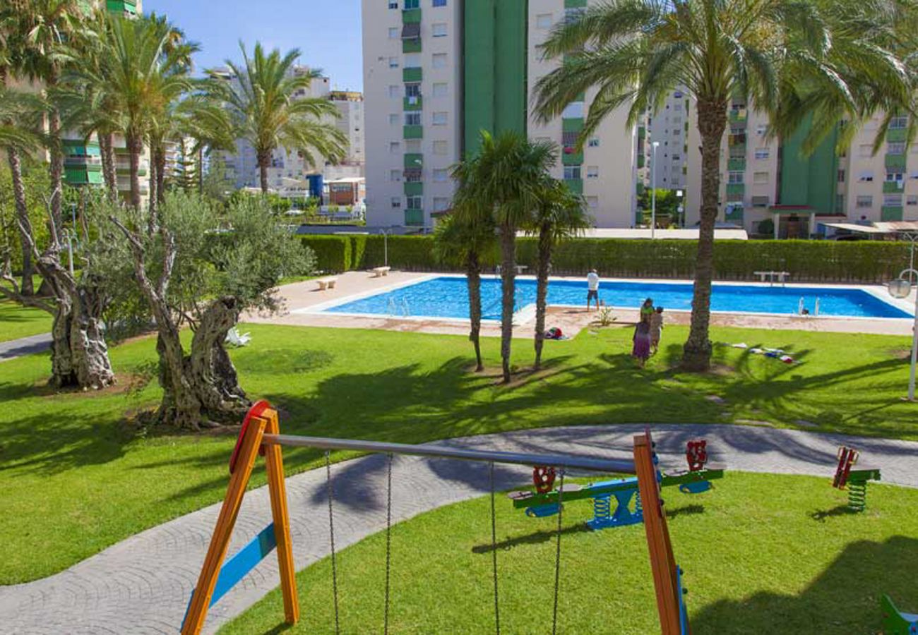 Apartamento en Playa de Gandía - 48. AG FLORIDA 8