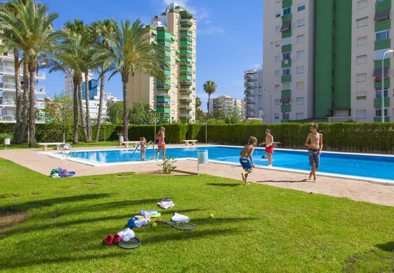 Apartamento en Playa de Gandía - 48. AG FLORIDA 8