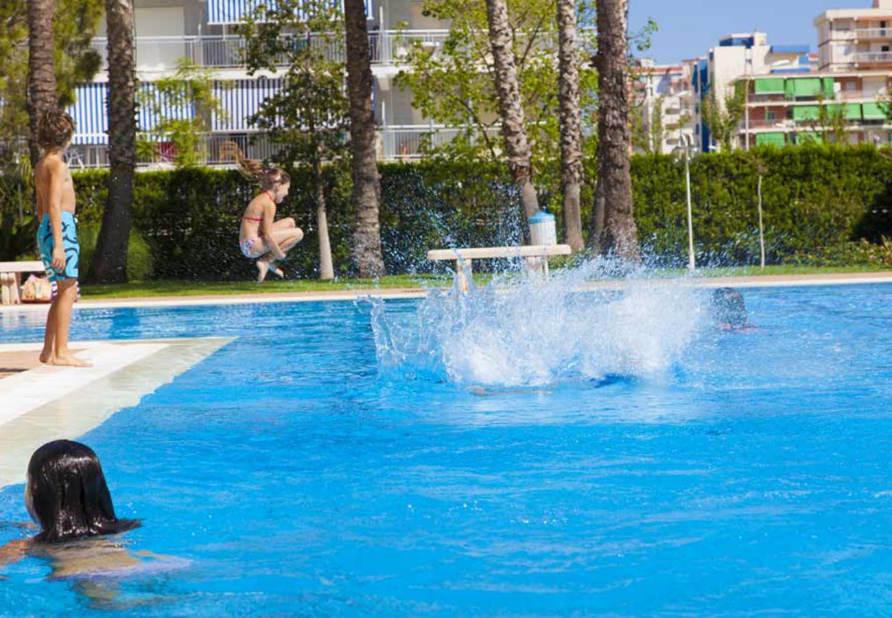 Apartamento en Playa de Gandía - 48. AG FLORIDA 8