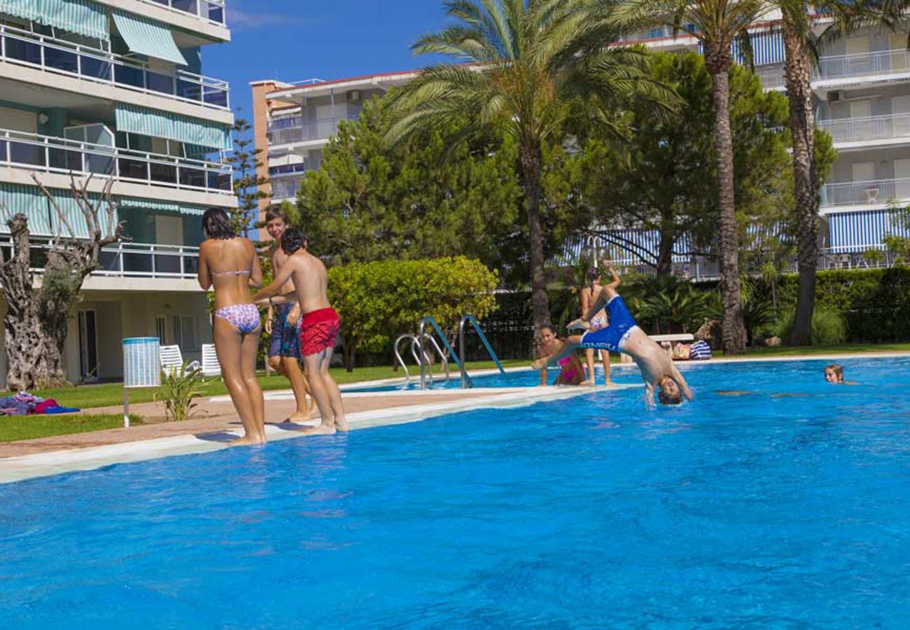 Apartamento en Playa de Gandía - 48. AG FLORIDA 8