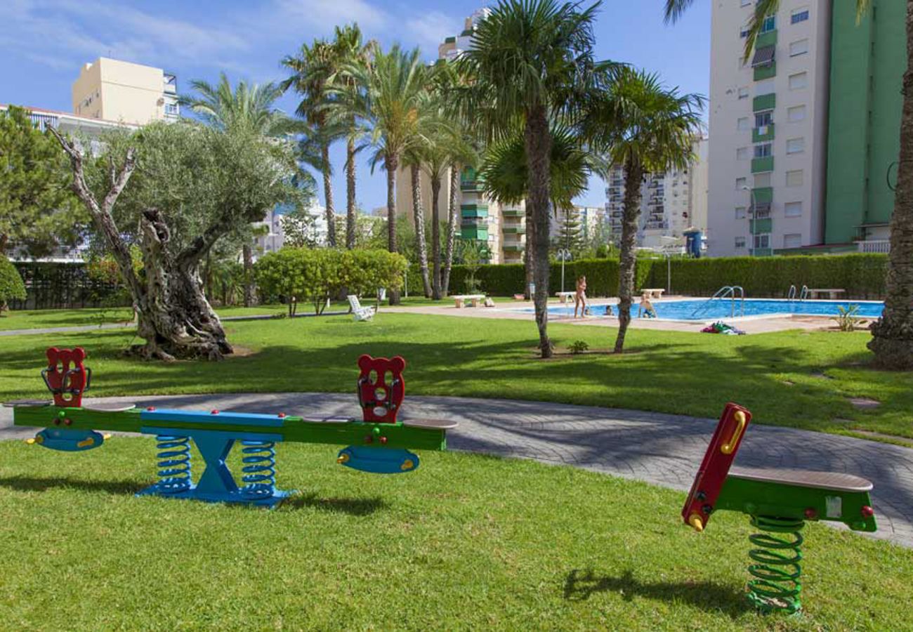 Apartamento en Playa de Gandía - 48. AG FLORIDA 8