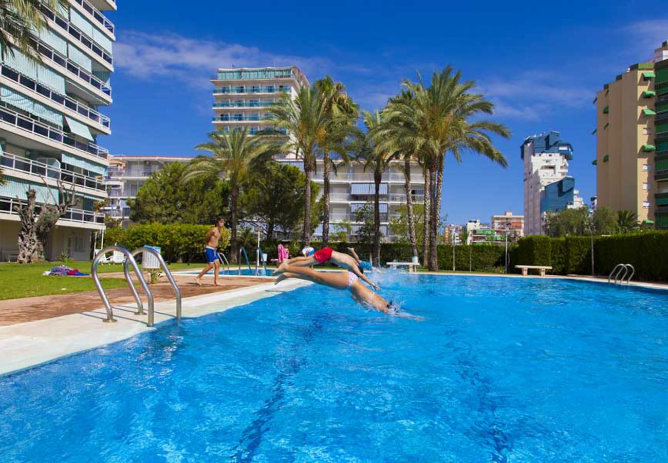 Apartamento en Playa de Gandía - 48. AG FLORIDA 8