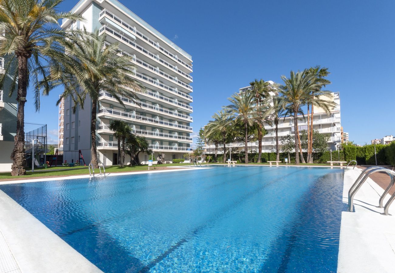 Apartamento en Playa de Gandía - 48. AG FLORIDA 8
