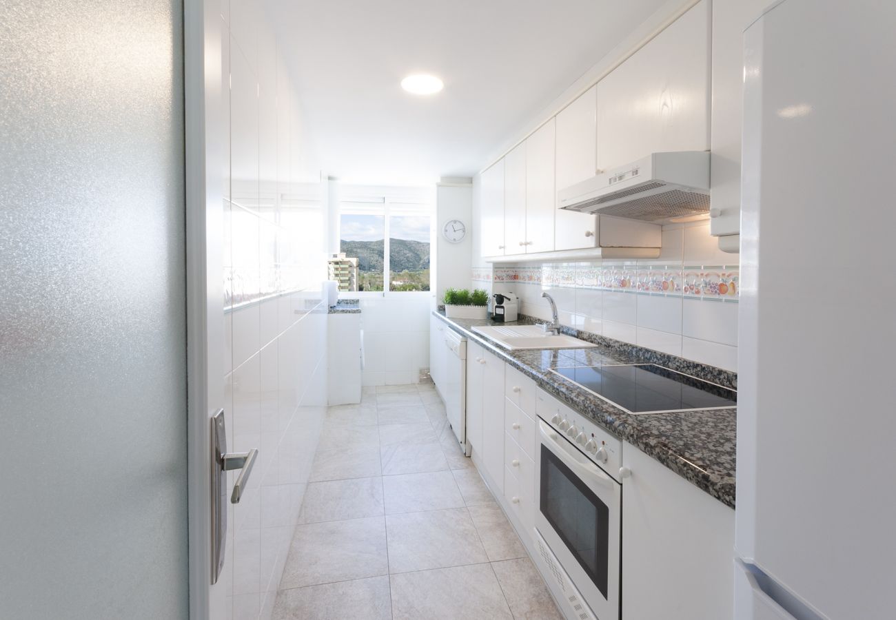 Apartamento en Playa de Gandía - 48. AG FLORIDA 8