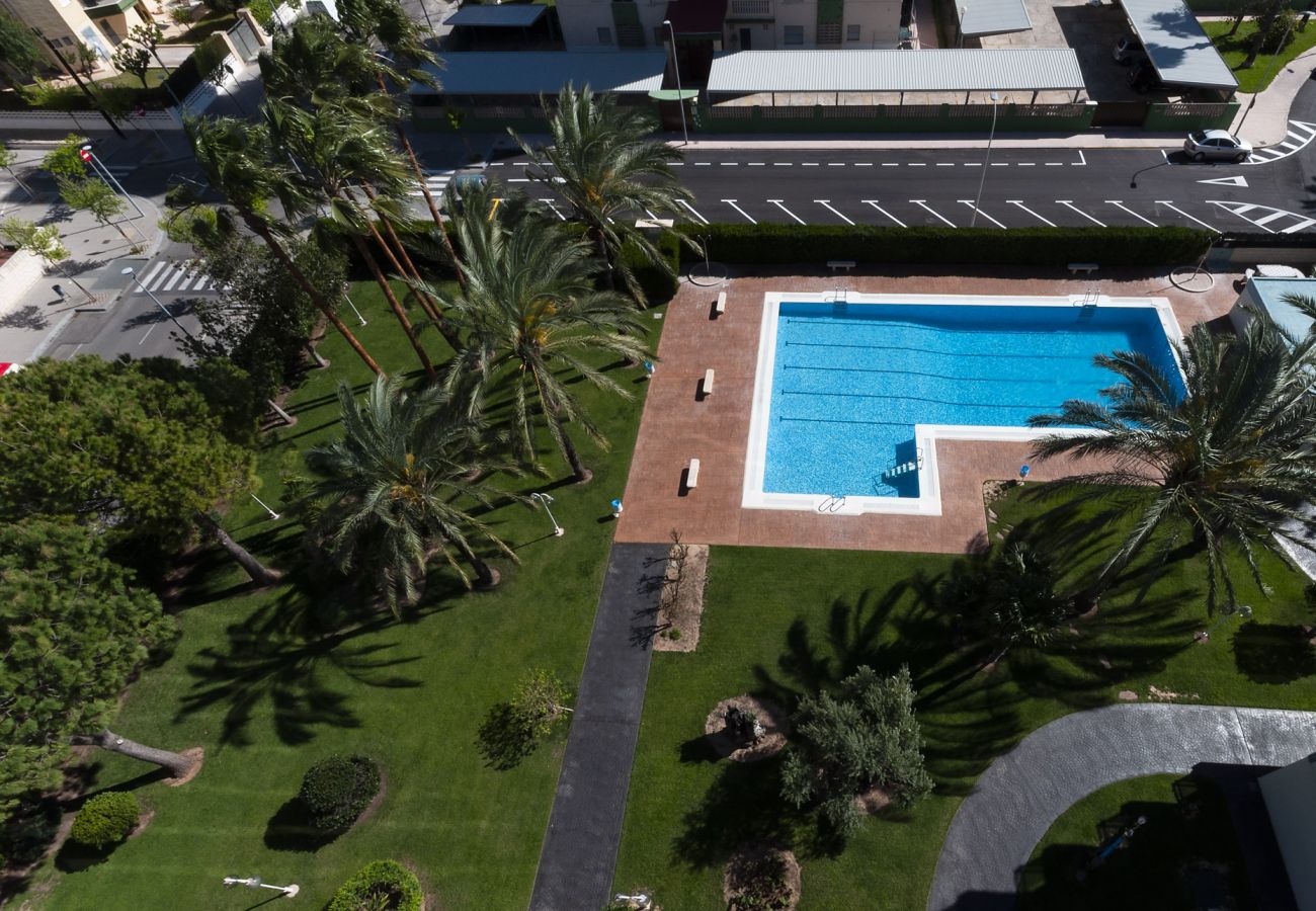 Apartamento en Playa de Gandía - 48. AG FLORIDA 8