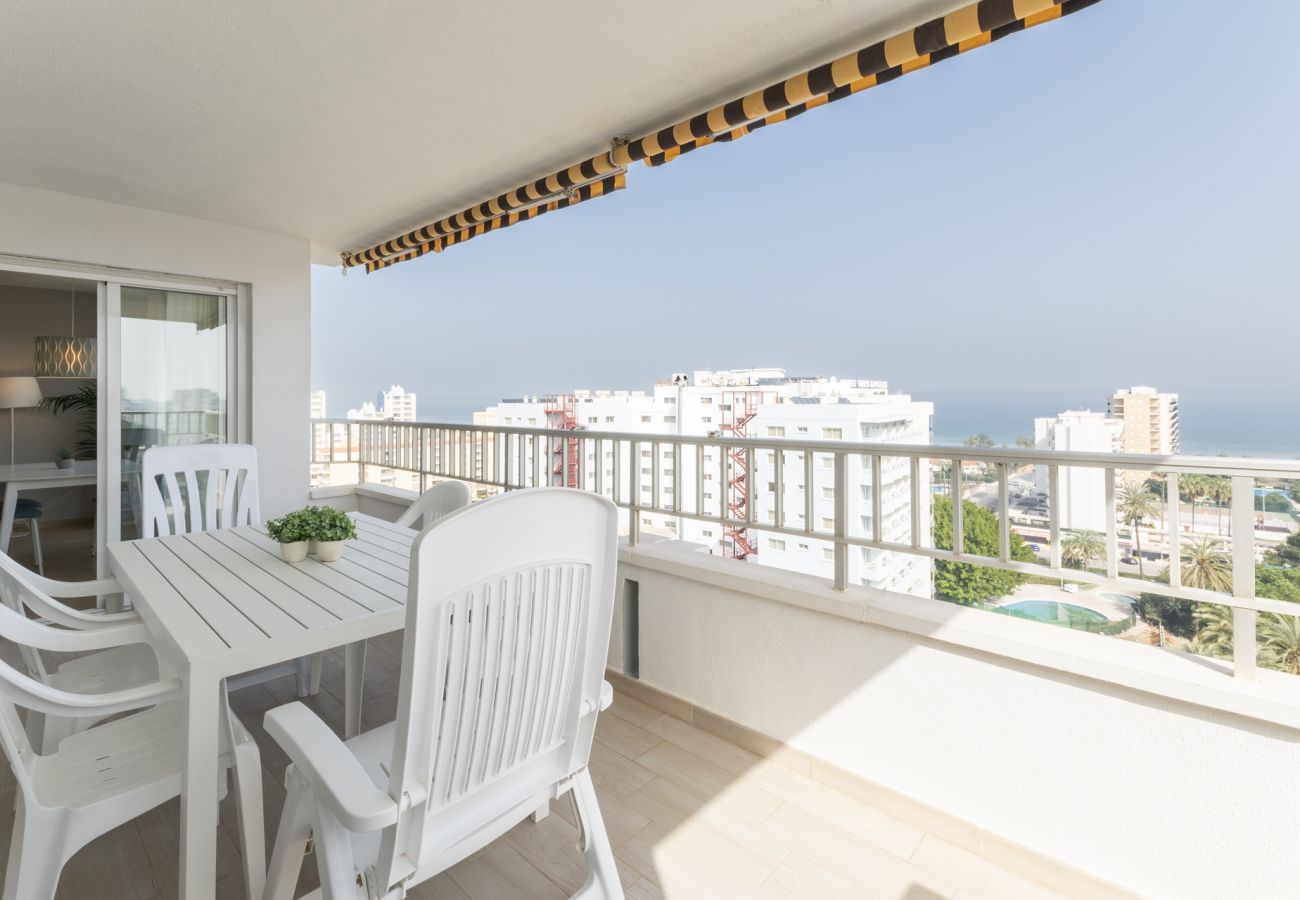 Apartamento en Playa de Gandía - 59. AG TERRANOVA 12