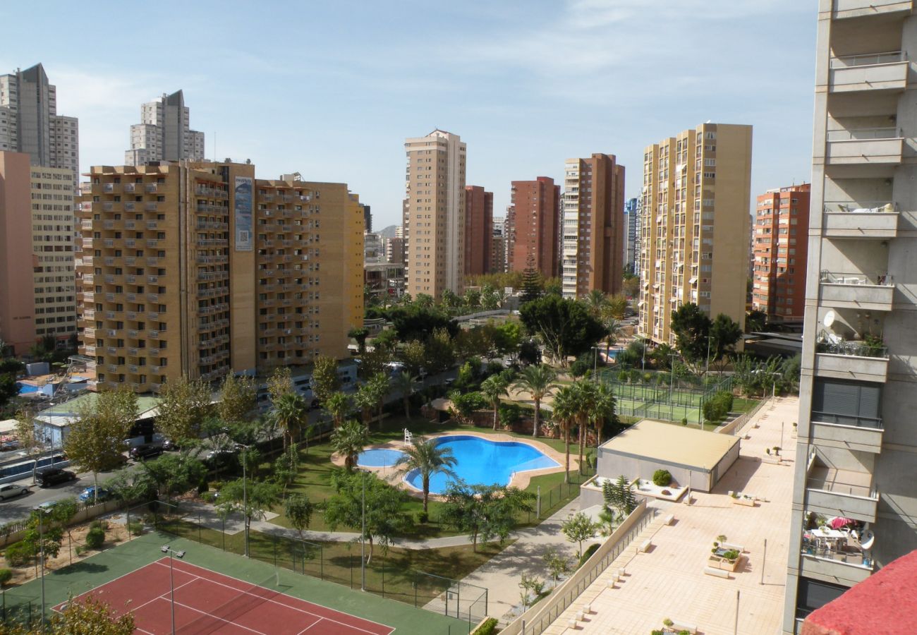 Apartamento en Benidorm - GIJON 9B