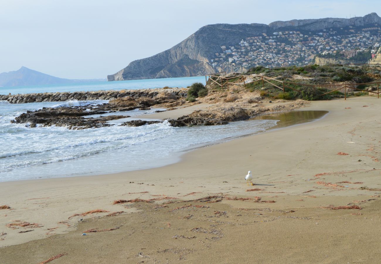 Apartamento en Calpe - Alq 093 Apartamento Rubino