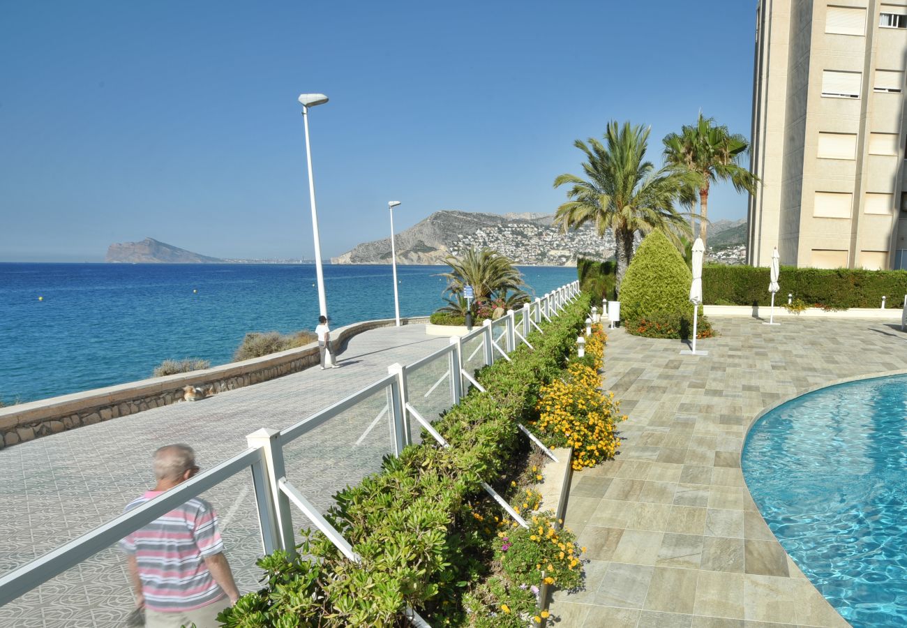 Apartamento en Calpe - Alq 093 Apartamento Rubino
