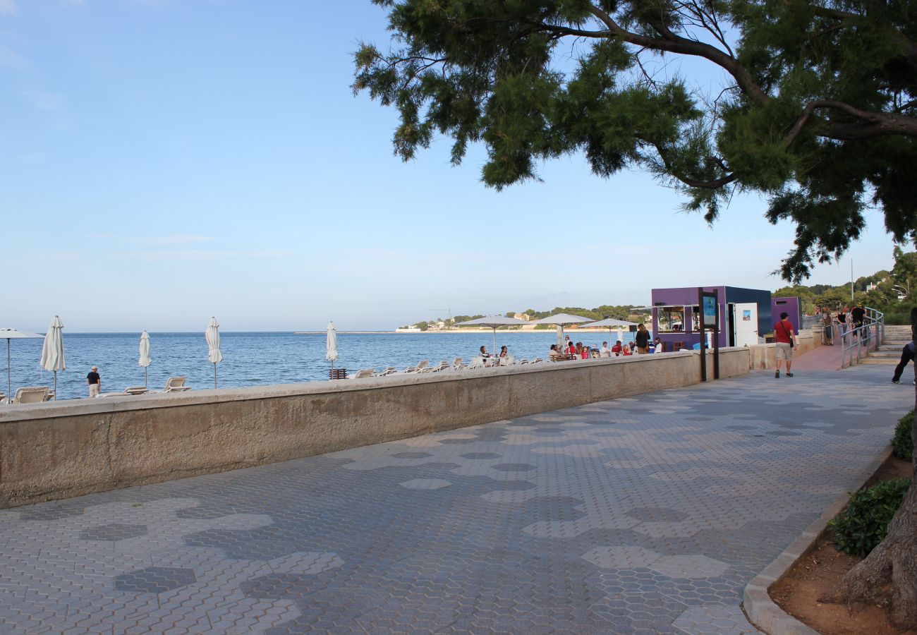 Apartamento en Denia - 150 Tropicana Park, 81-B