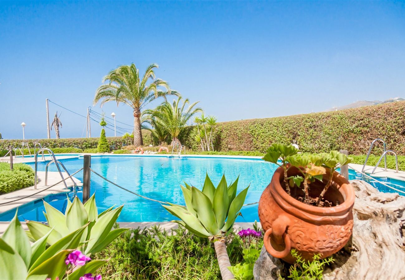 Apartamento en Nerja - Stella Maris Nerja (3208)