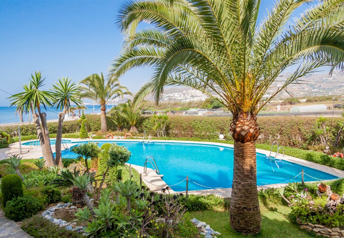 Apartamento en Nerja - Stella Maris Nerja (3208)