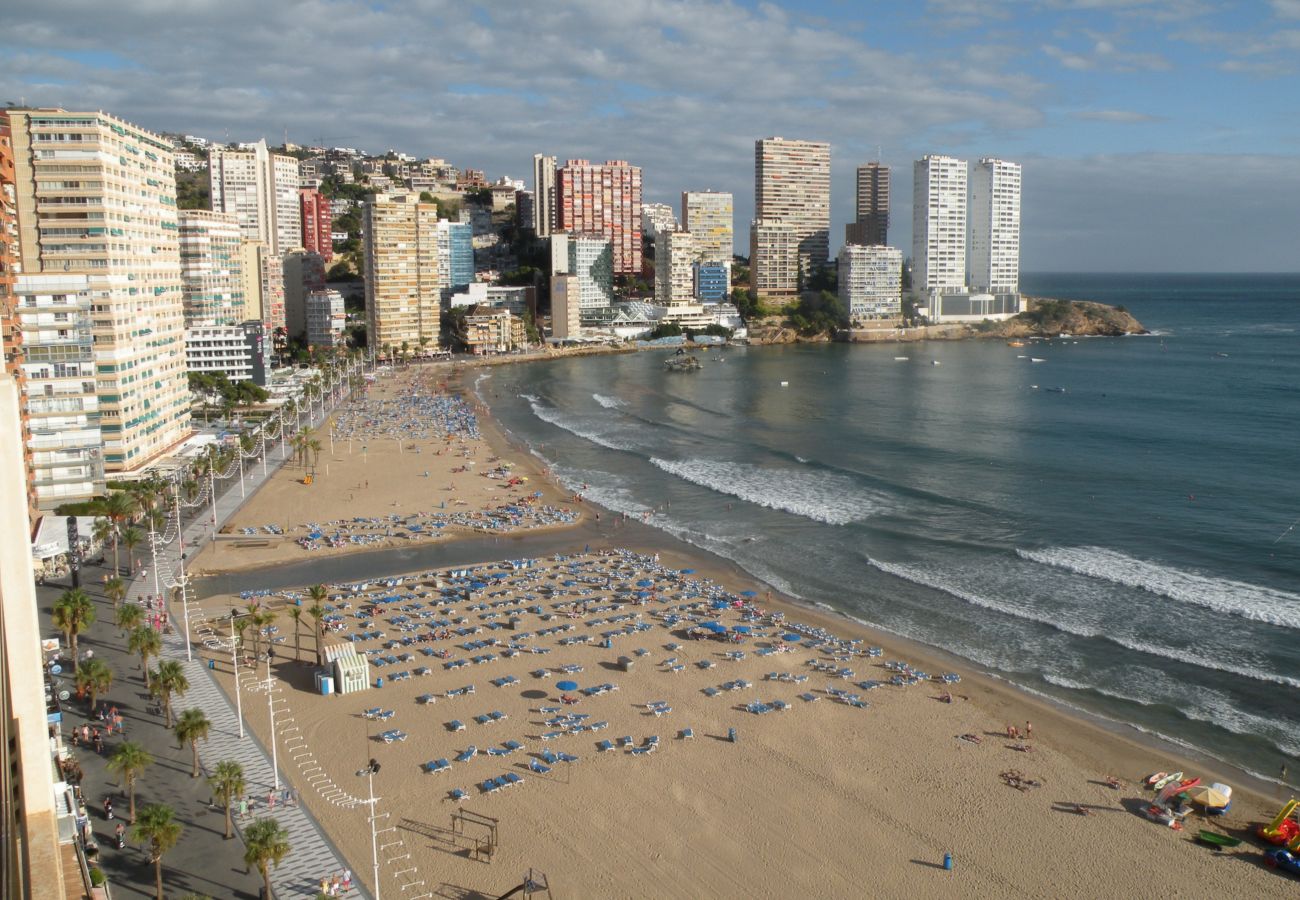 Apartamento en Benidorm - CACHIRULO 4C