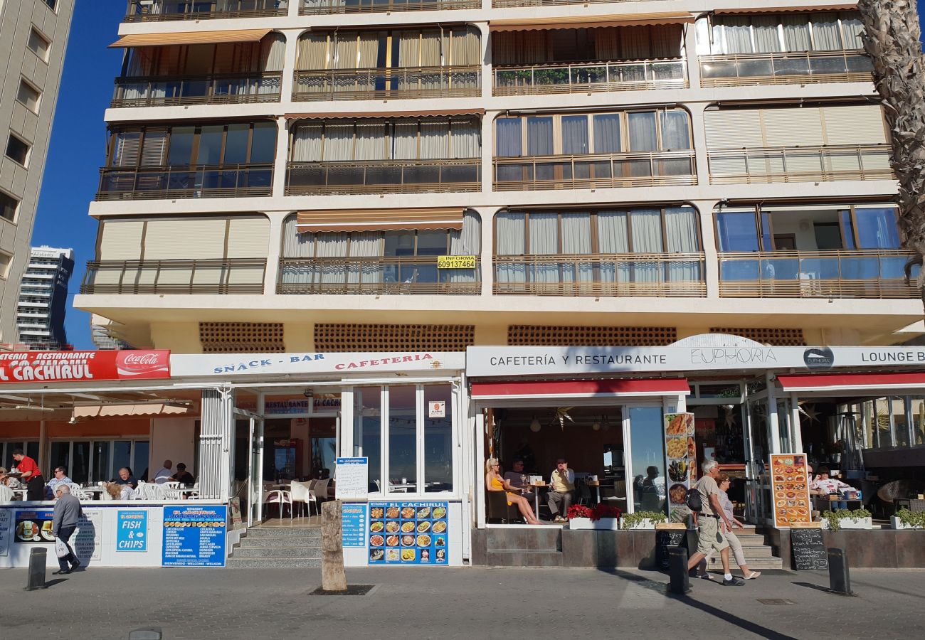 Apartamento en Benidorm - CACHIRULO 4C