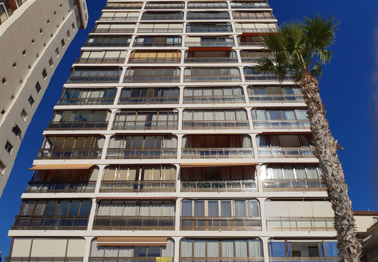 Apartamento en Benidorm - CACHIRULO 4C