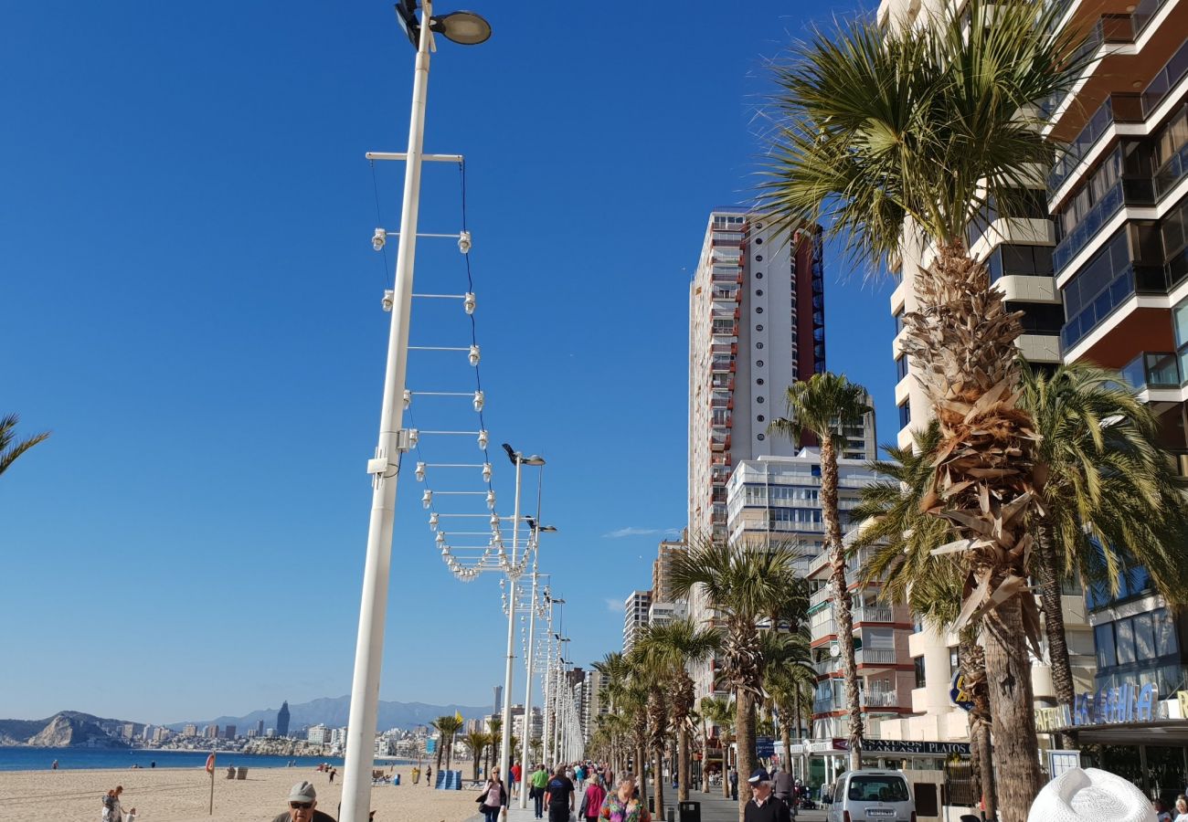 Apartamento en Benidorm - CACHIRULO 4C
