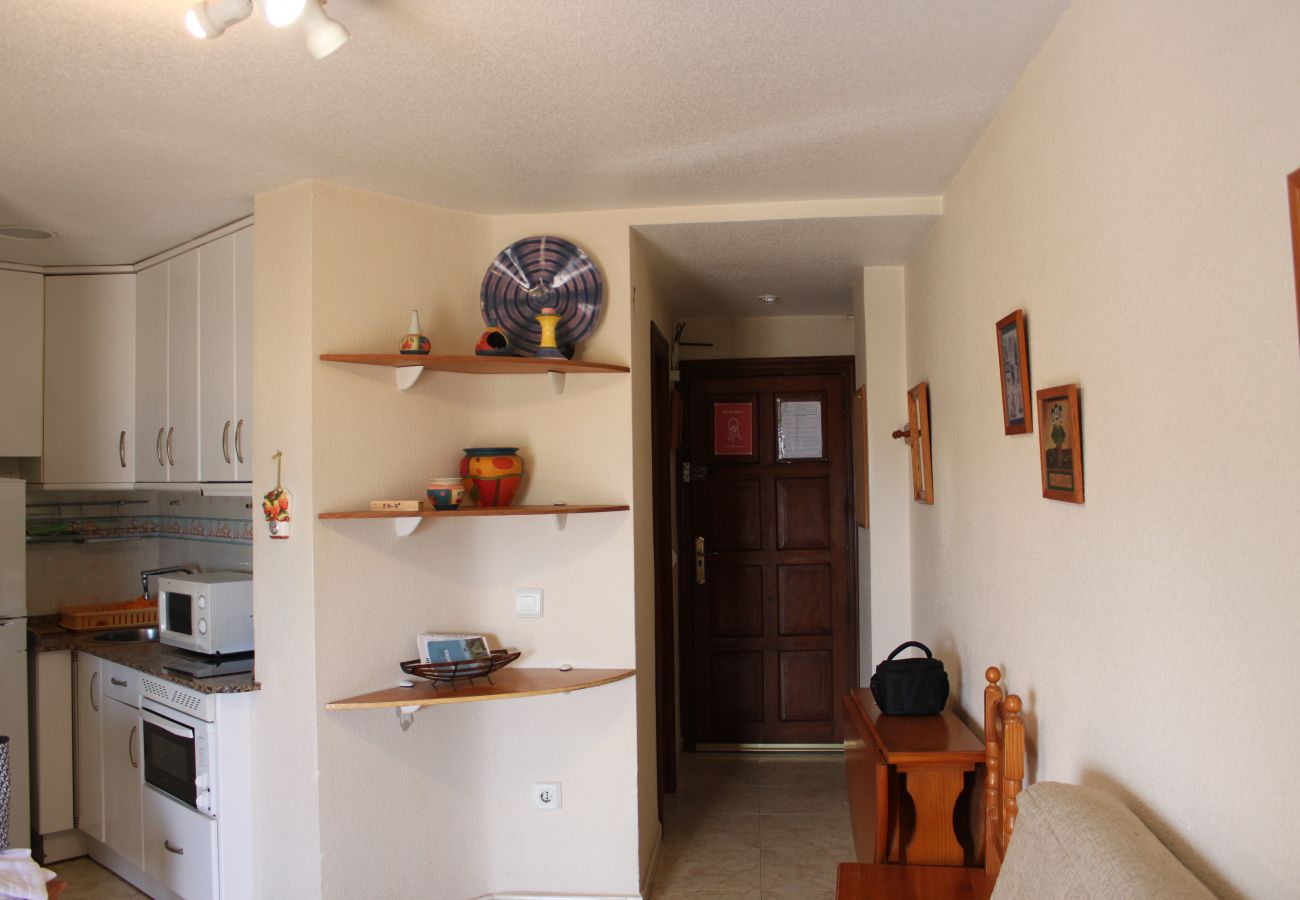 Apartamento en Playa de Gandía - 1.Infante E4-4º