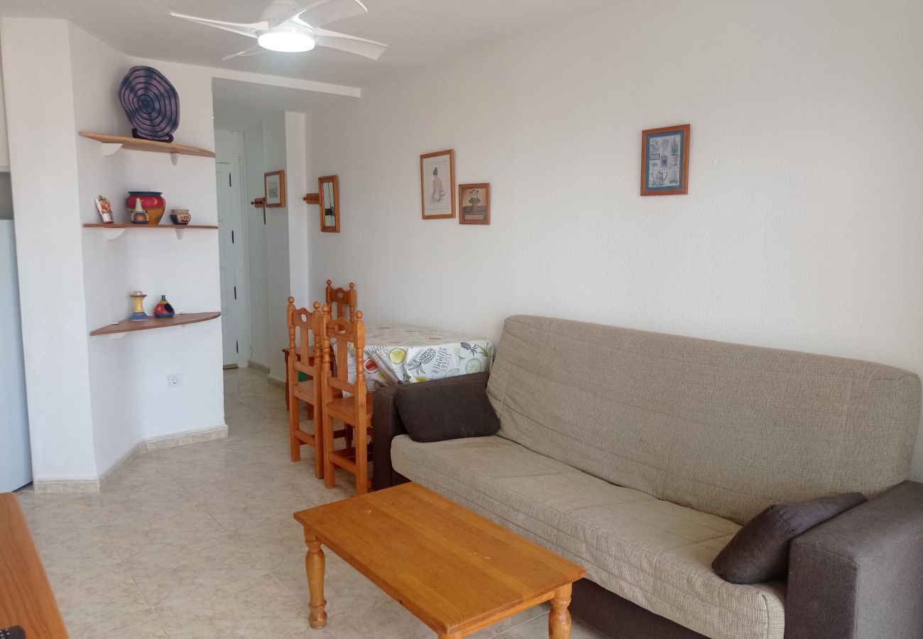 Apartamento en Playa de Gandía - 1.Infante E4-4º