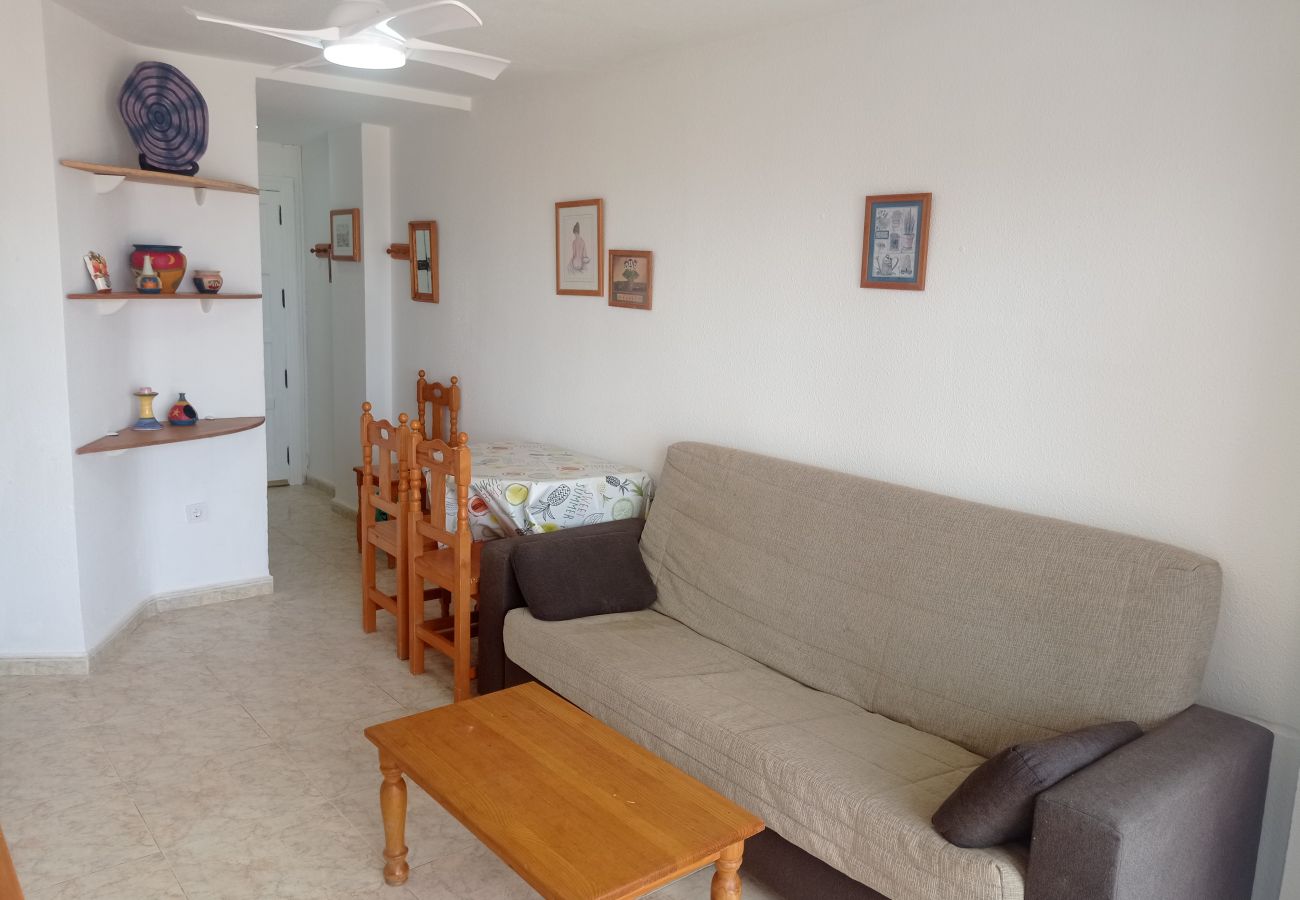 Apartamento en Playa de Gandía - 1.Infante E4-4º