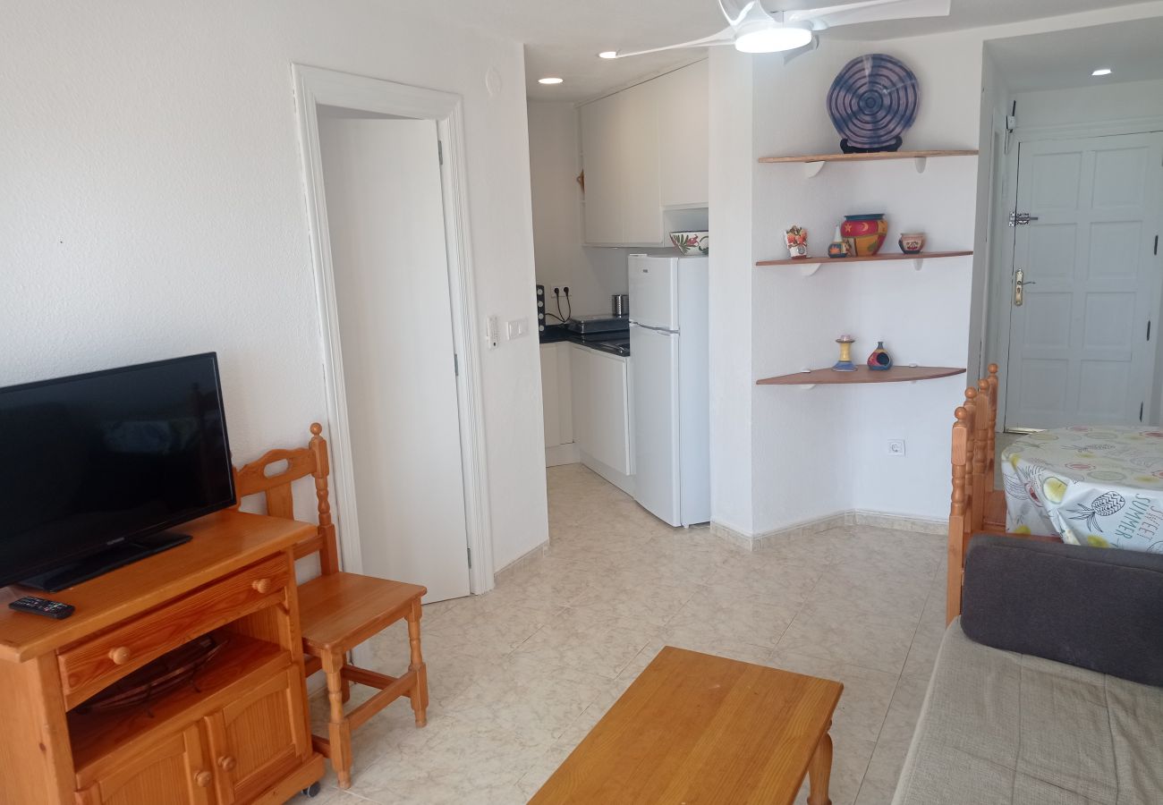 Apartamento en Playa de Gandía - 1.Infante E4-4º